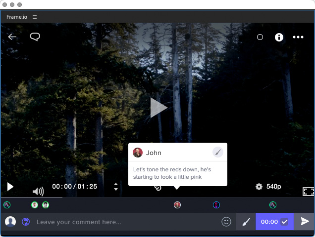 Adobe Frame io