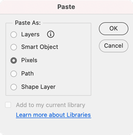 Paste dialog in Photoshop