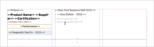 Screen shot of InDesign template, with text field names carrying the formatting