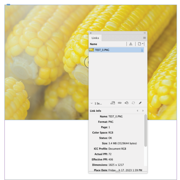 Image in figure 18 behind links panel showing lined file TEST_0.PNG with all metadata below