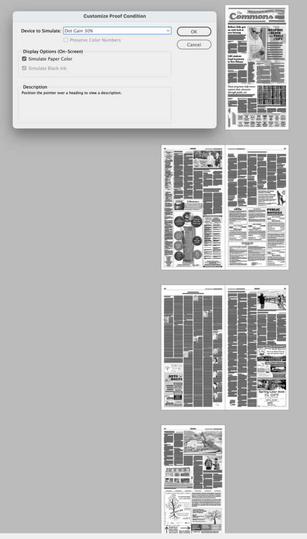 Document with Customize Proof Condition dialog box showing selection of Dot Gain 30% and entire document gray