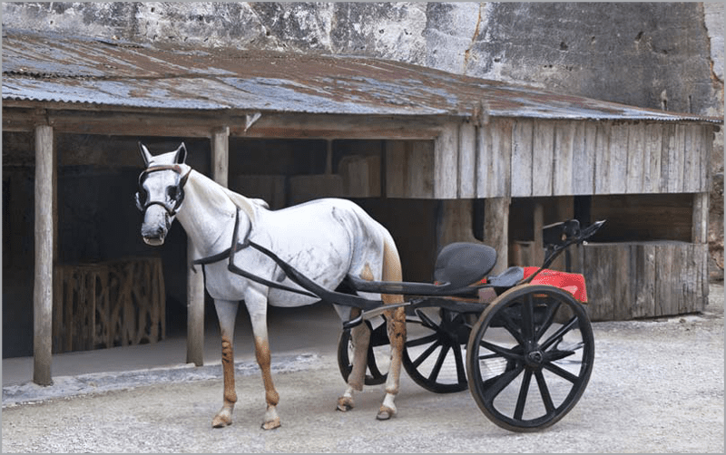 Figure 27. An acceptable horse and cart