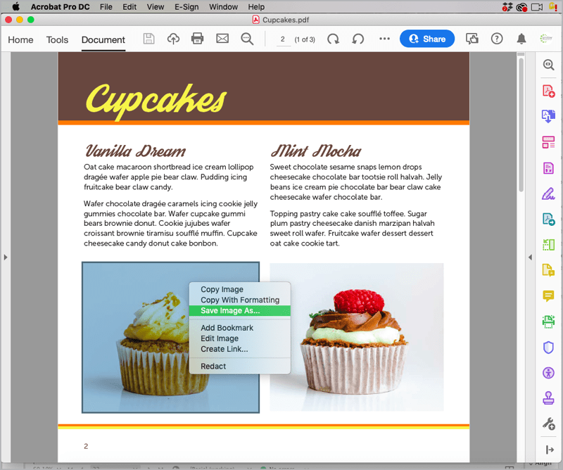 Figure 18. You can highlight individual images and export them from the context menu.