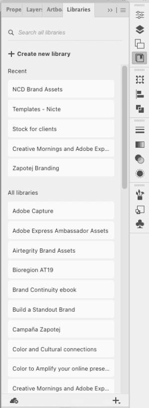 Figure 5. Choose which library you want to add assets to from the Libraries panel.