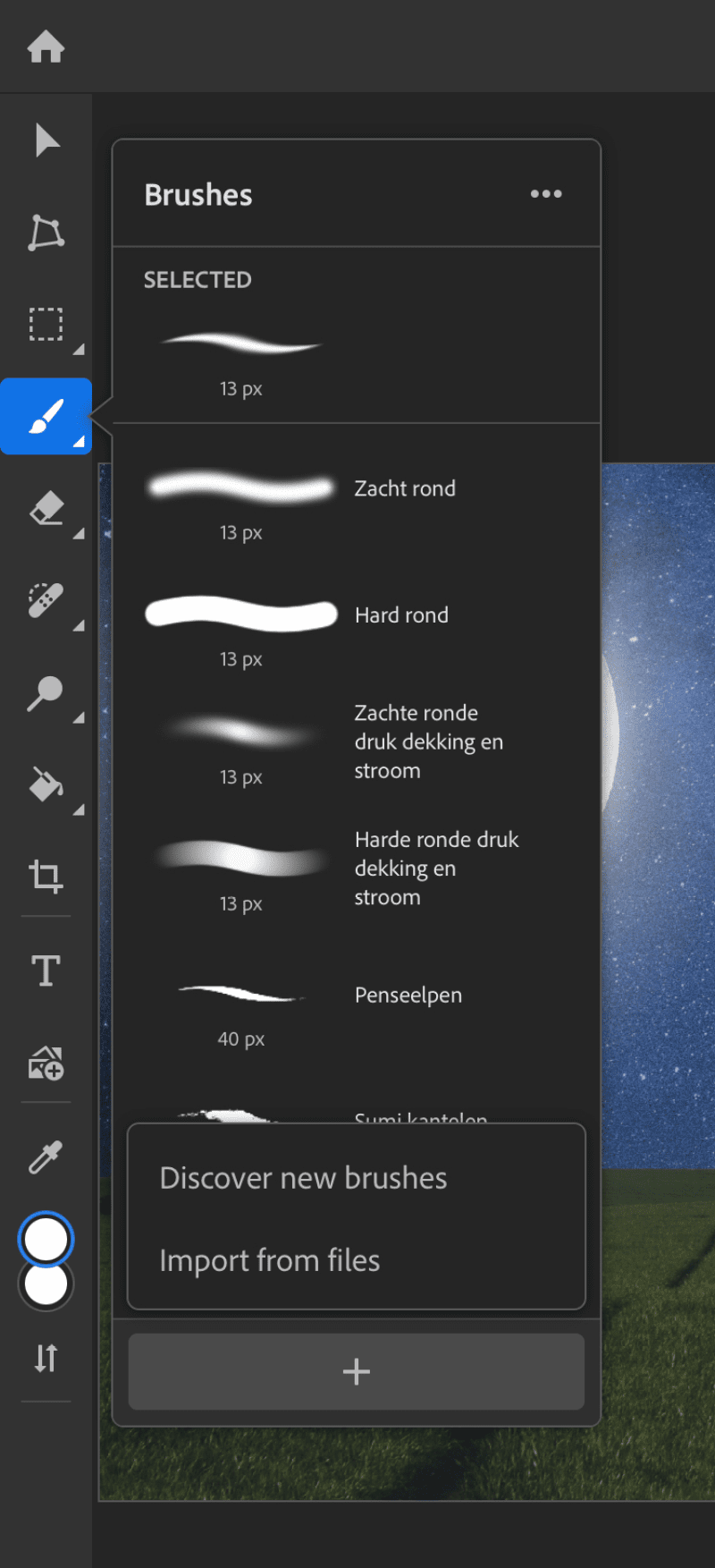 Figure 6. You can easily import a brush (in the form of an ABR file shared with your iPad).