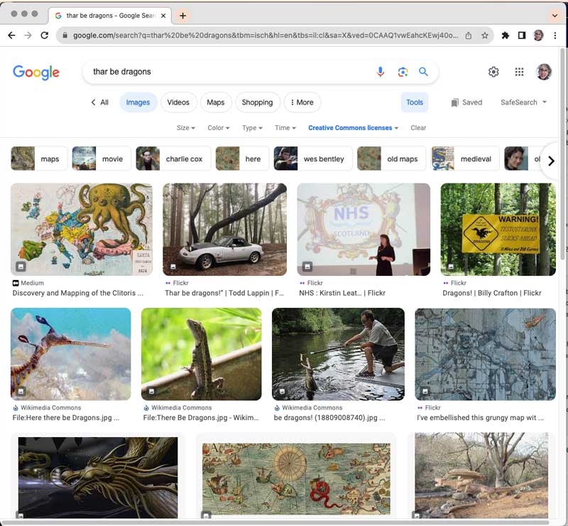 Google image search for the phrase "thar be dragons"