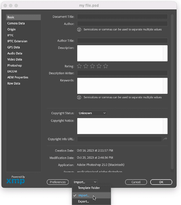 Figure 6. Use the Import command in the File Info dialog box to add a license to an image.