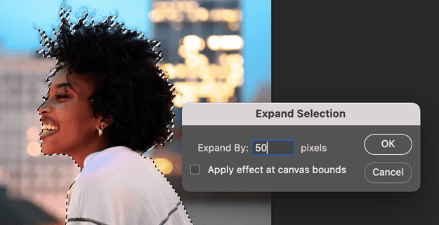 Figure 29. Expand the selection by 50 pixels.