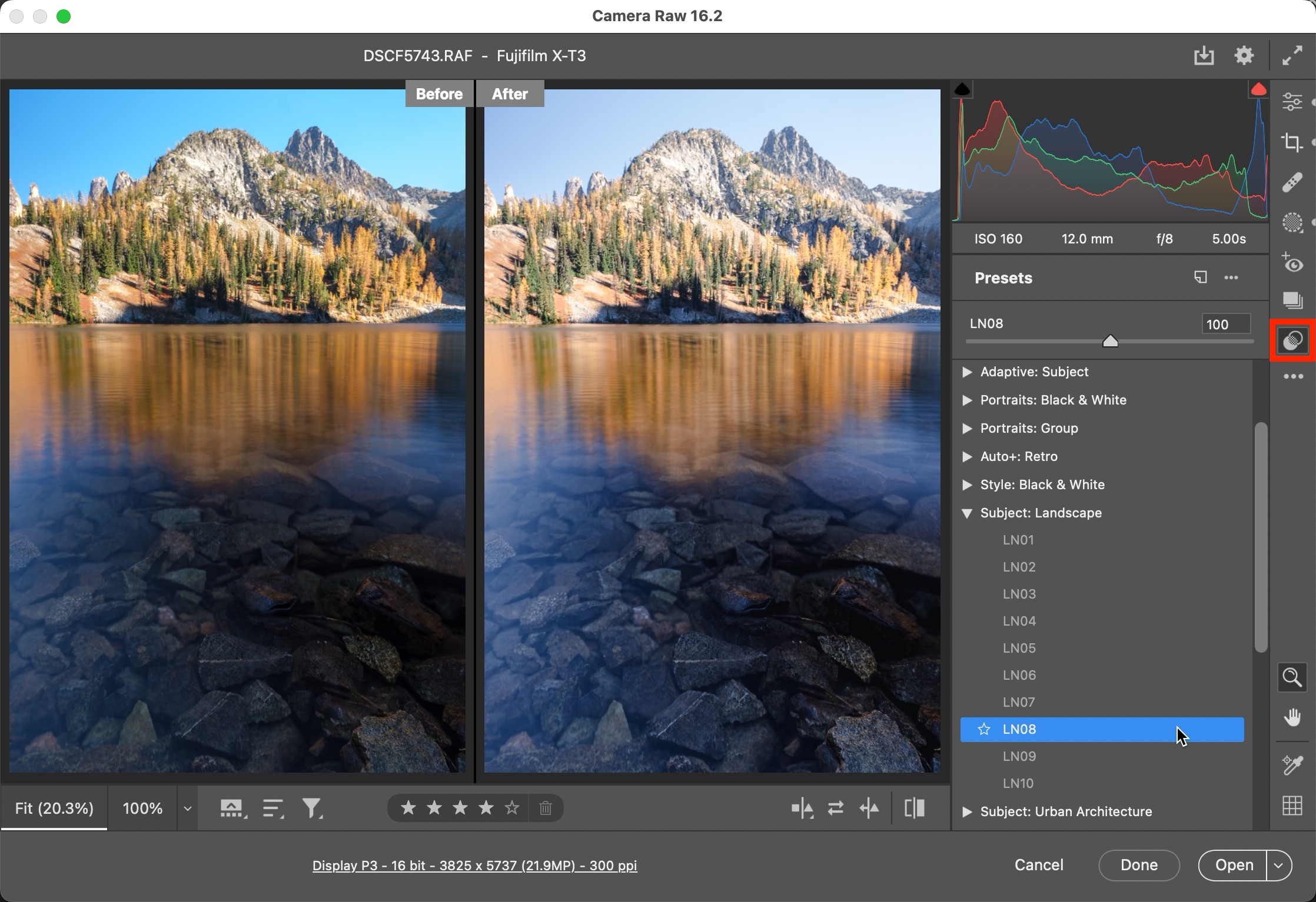 The Camera Raw interface showing before and after versions of a photo of a mountain and lake. The Presets panel is active and a preset is selected.
