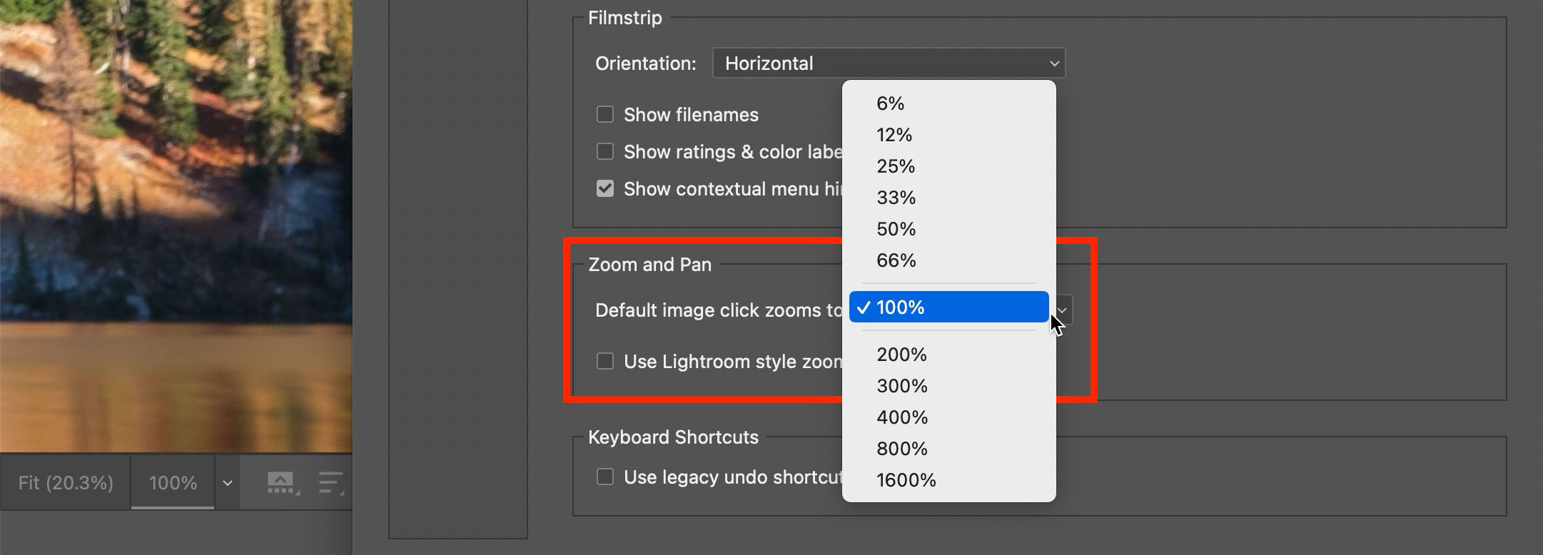 The Camera Raw interface showing the Zoom and Pan settings, with a pop-up menu choosing a default image zoom level of 100%.