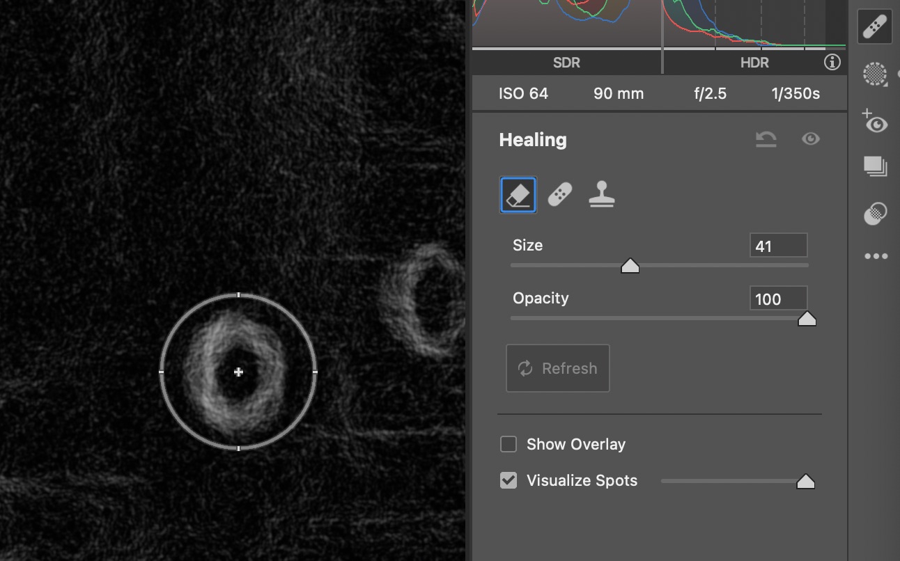 The Camera Raw interface showing the Healing tools and the Visualize Spots option active. The image preview is black and white with a donut-shaped area representing a dust spot on the photo.