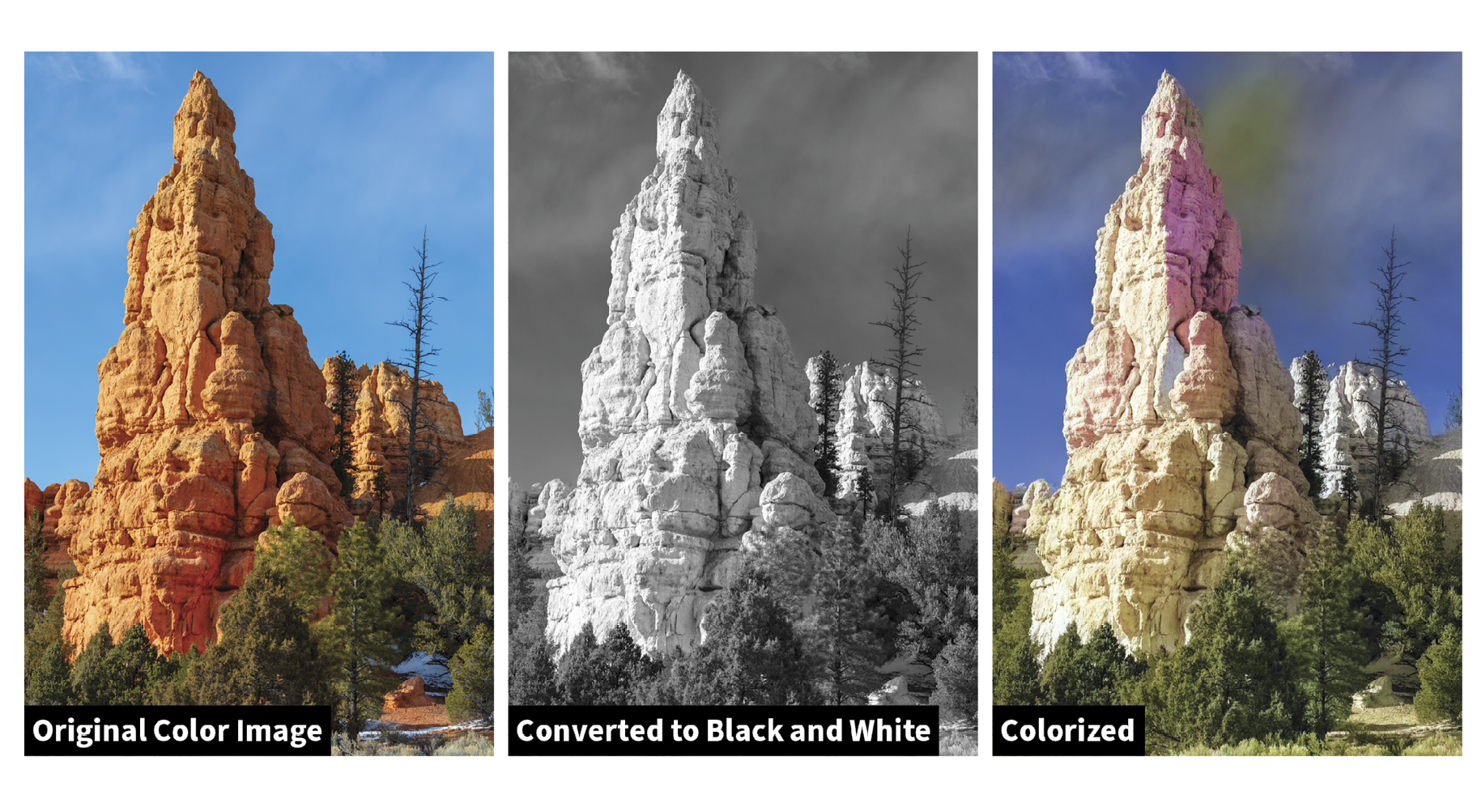 A triptych showing a rocky formation with trees: the left image in full color, the middle in black and white, and the right image colorized, highlighting differences in presentation.