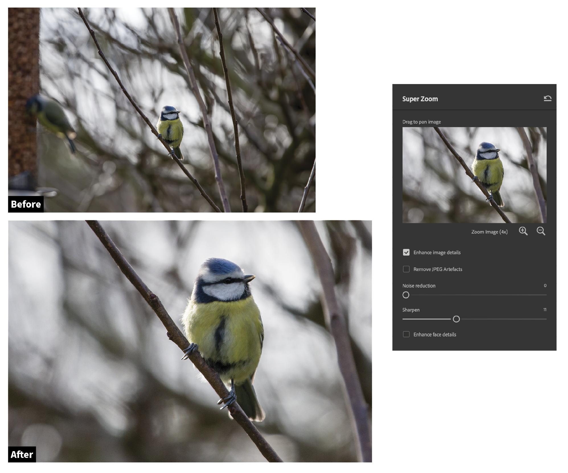 Image of a blue tit perched on a branch, depicted in normal view and with super zoom that highlights its detailed plumage. main image shows a blurred background with twigs.