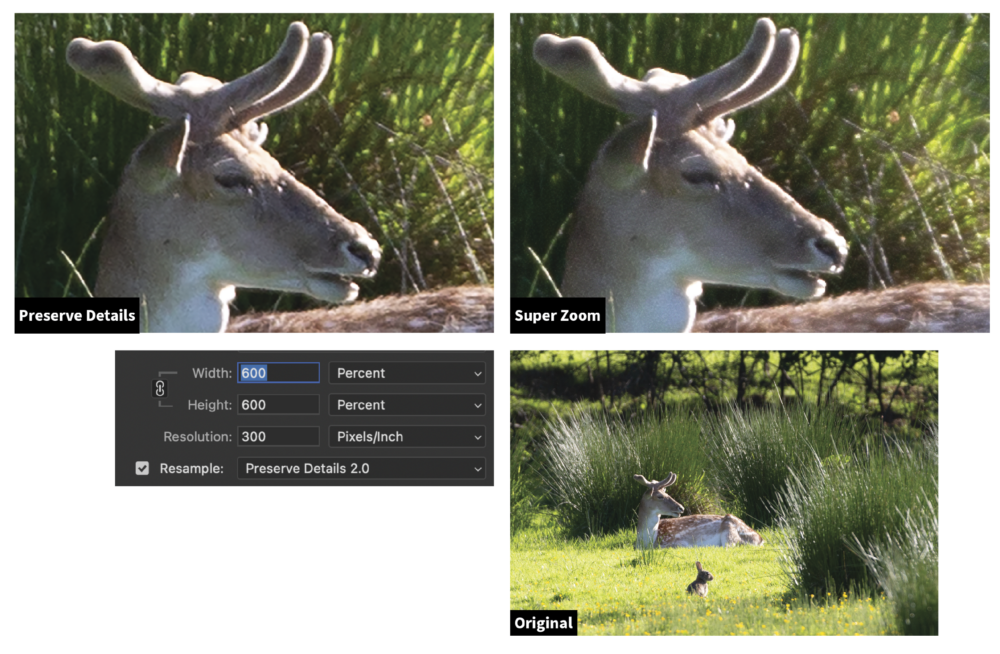 Comparison of image enhancement techniques: "preserve details" vs. "super zoom" on a close-up photo of a deer with large ears in grass, and the original image showing the deer in a natural setting.