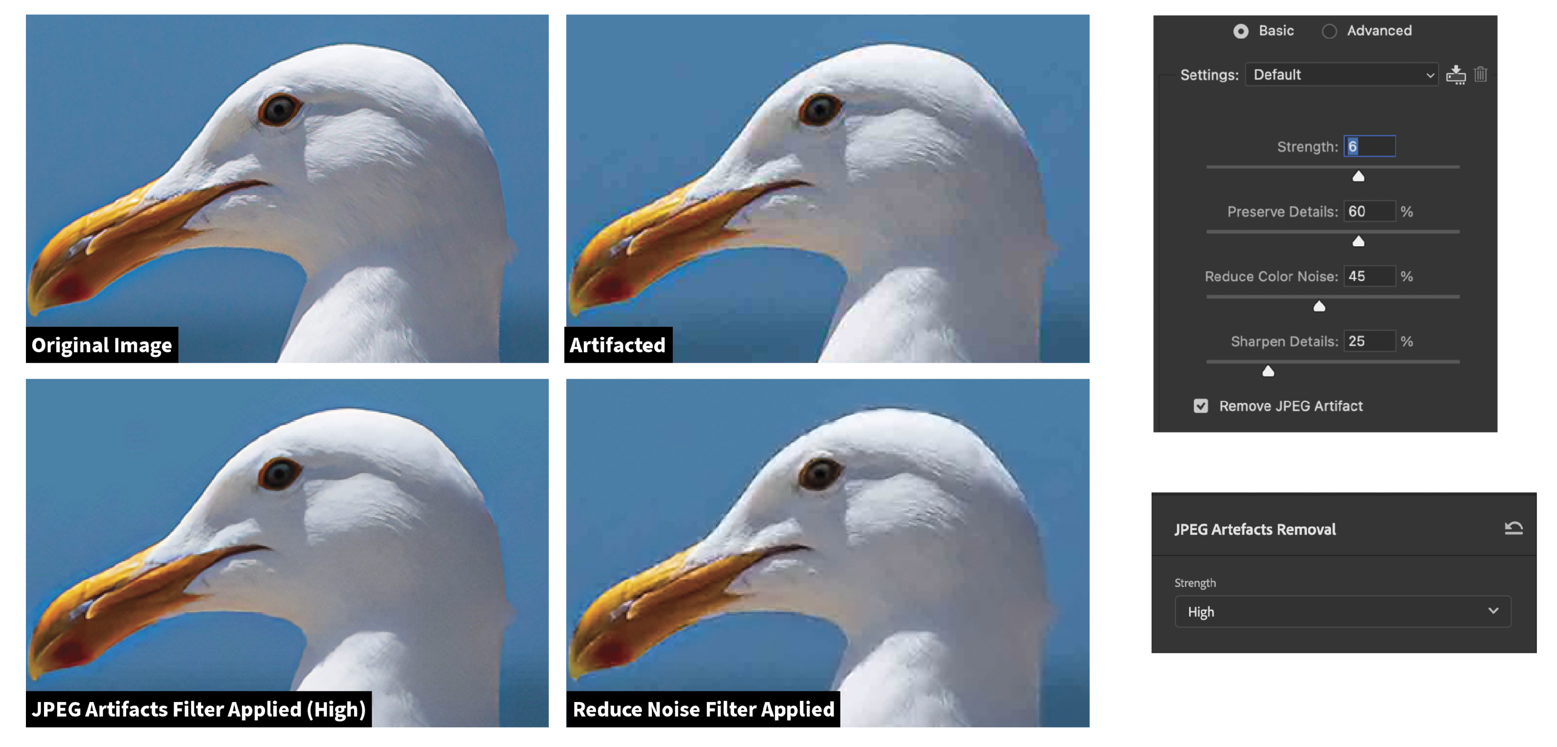 Four images displaying processing effects on a photo of a seagull's head. from left to right: original, high jpeg artifacts, noise reduction applied, and jpeg artifacts removed, with a tool panel on the right.