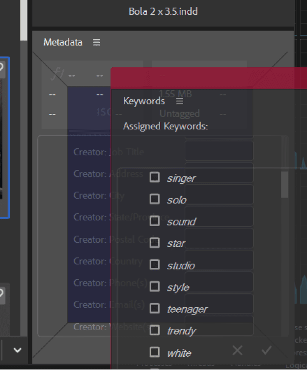 Figure 1. The Keywords panel will dock with the Metadata panel, shown by the darker square inside the edge indicators.