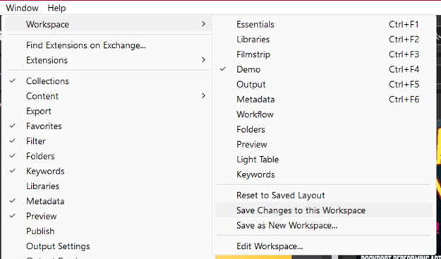Figure 2. The expanded Workspaces menu lets you update a saved workspace directly.