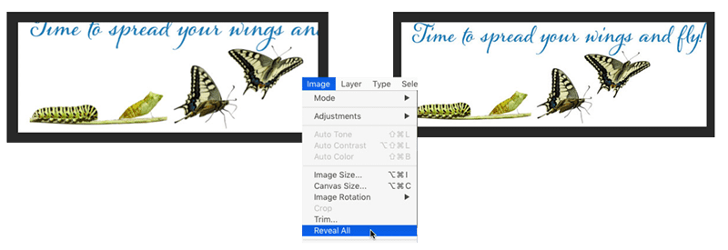 Figure 13. Use the Reveal All command to automatically re-size the canvas to fit all elements.