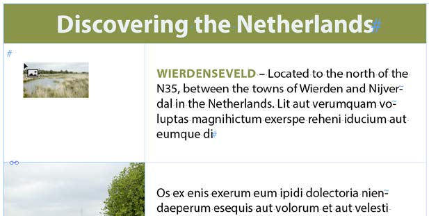 A table with a green header reading "Discovering the Netherlands" shows an image with small preview and a cursor with an icon for graphics (white rectangle with small black circle and triangles) being placed into the cell in the first row and first column.