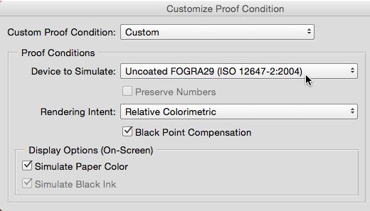 Customize Proof Condition dialog box shows values of: Custom Proof Condition: Custom. In Proof Conditions section: Device to Simulate: Uncoated FOGRA29 (ISO 12647-2:2004); Preserve Numbers is unchecked; Rendering Intent: Relative Colorimetric; Black Point Compensation is checked. Under Display Options (On-Screen): Simulate Paper Color is checked and grayed out.