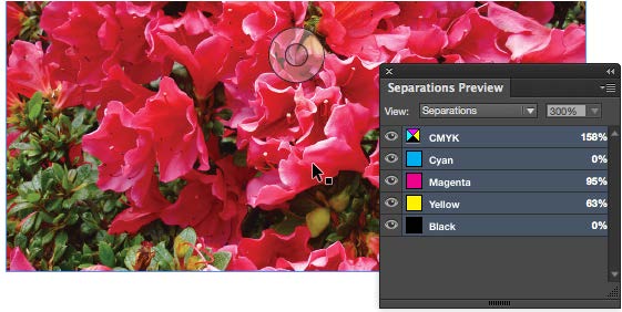 Separations Preview panel active with CMYK, Cyan, Magenta, Yellow, and Black items all selected.