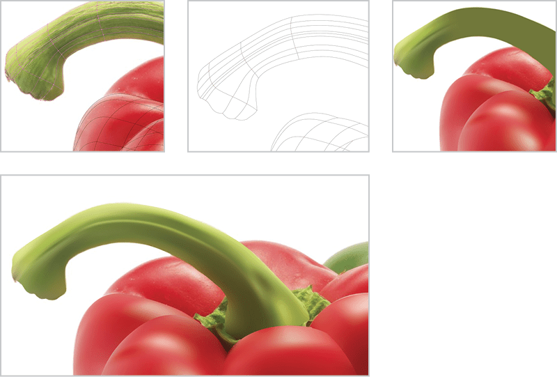 Top left: Mesh on top of reference photo shown following the contours of the stem. Center: Outline view of mesh for stem. Right: Mesh in progress is refined at top of stem, transitioning to a flat green. Bottom: the completed stem illustration without the reference photo shows the light and shadow that give the stem dimensionality.