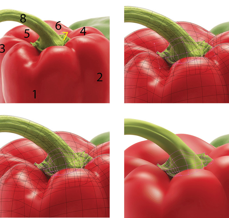 Four photos show images of red pepper detail of top with stem. Top left: Pepper with numbered images of regions (1-8), with 7 highlighted in yellow. Top right: The gradient mesh (pink lines) positioned at the bottom of the pepper's stem with black lines for other parts of the pepper. Bottom right: Curves on the mesh lines follow the contours of the bottom of the stem. Bottom right image shows the final mesh on top of the finished artwork for the rest of the pepper.