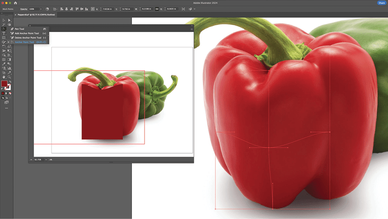 Bezier curve on gradient mesh adjusted to follow the contours of the red pepper.