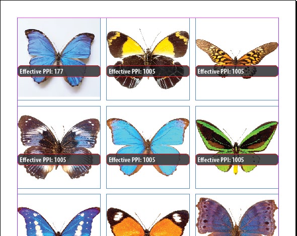 Document as described in Figure 1 but with a text frame superimposed over each image, each with a different value for the image's effective PPI.