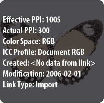 Butterfly photo with live caption label entirely superimposed, with text: Effective PPI: 1005 Actual PPI: 300 Color Space: RGB ICC Profile: Document RGB Created: Modification: 2006-02-01 Link Type: Import.