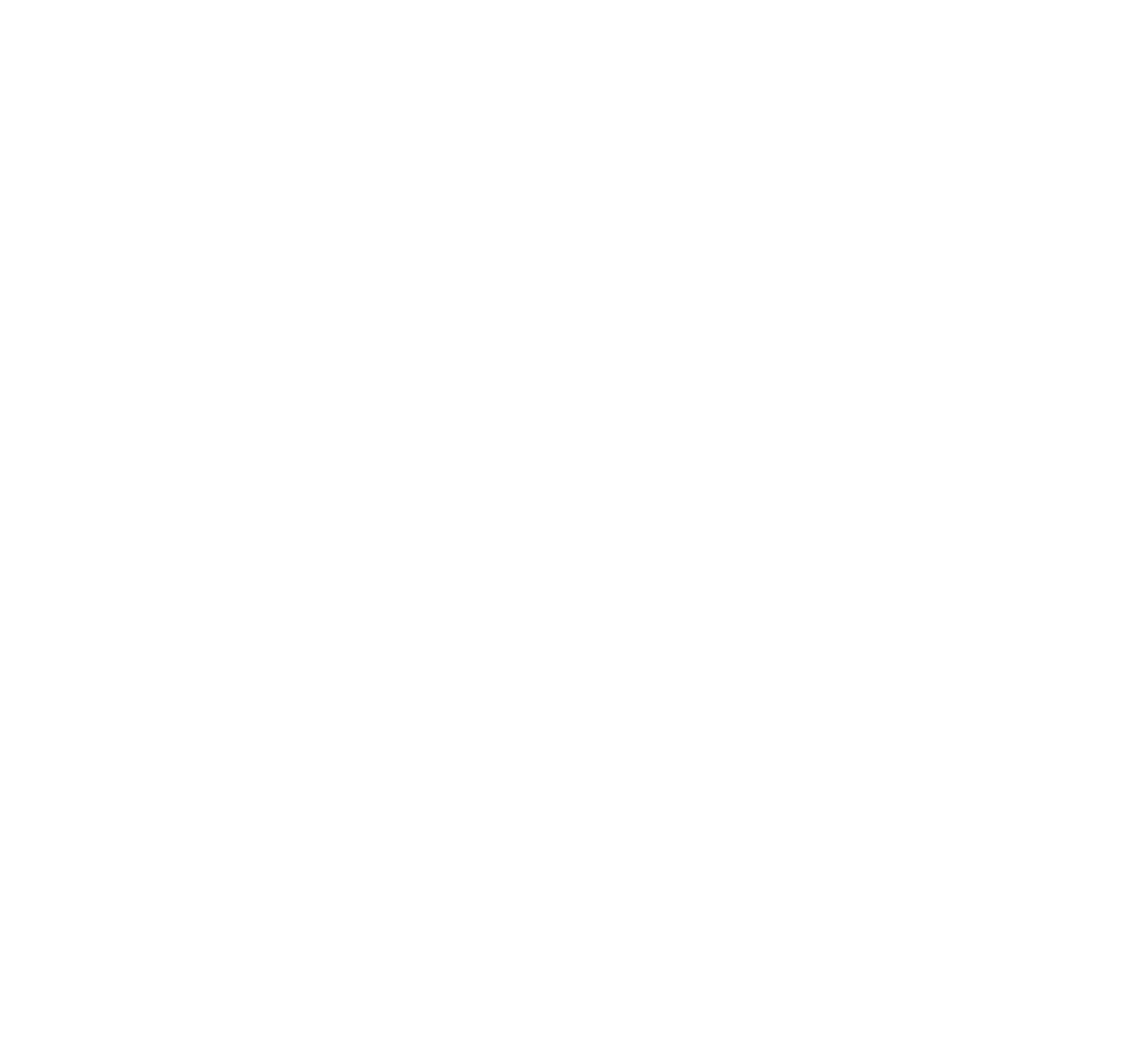 priint logo
