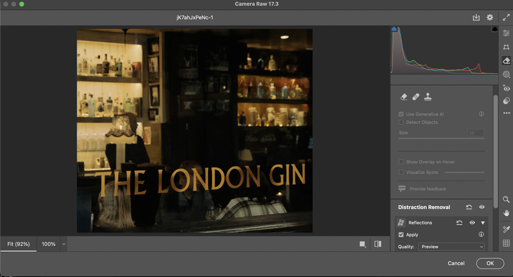 New features in Photoshop 2025: camera raw distraction removal