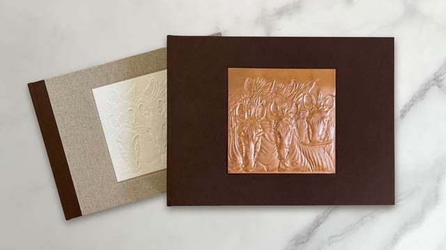 copper safari book