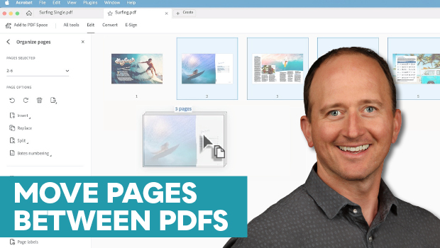 Smiling man in a gray shirt beside a screenshot of a PDF editor showing page thumbnails and a teal banner reading 'MOVE PAGES BETWEEN PDFs'.