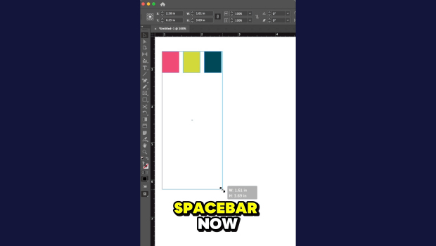 Screenshot of a design app showing an artboard with three color swatches (pink, lime, teal) at the top and bold 'SPACEBAR NOW' text at the bottom.