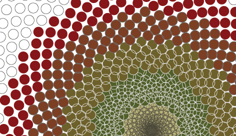 patterns2