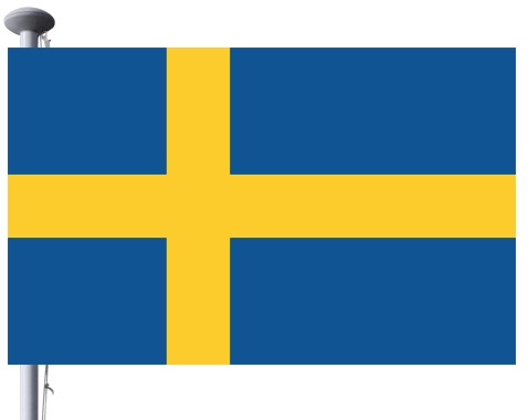 flag step 1 flag step 1