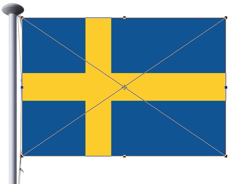 flag step 3 flag step 3