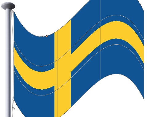 flag step 4 flag step 4