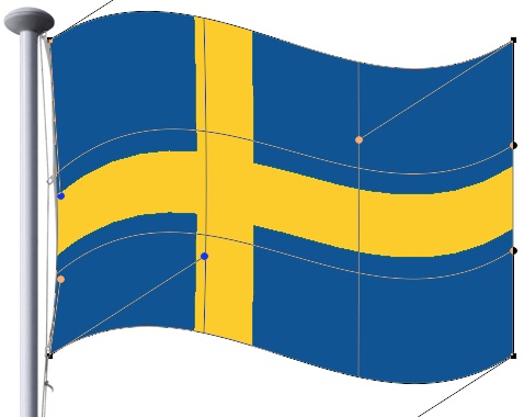 flag step 7 flag step 7