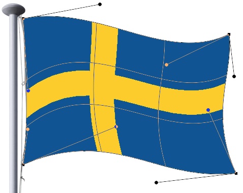 flag step 8 flag step 8