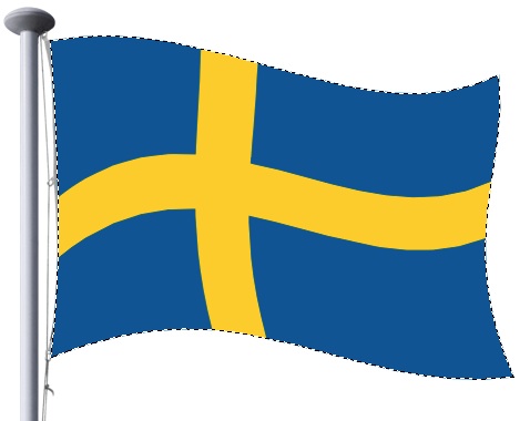flag step 9 flag step 9