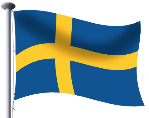 flag step 13 flag step 13