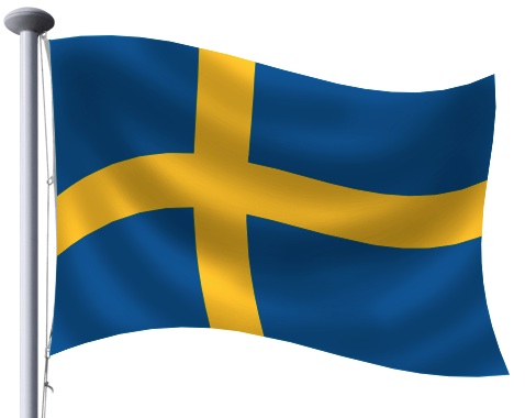 flag step 14 flag step 14