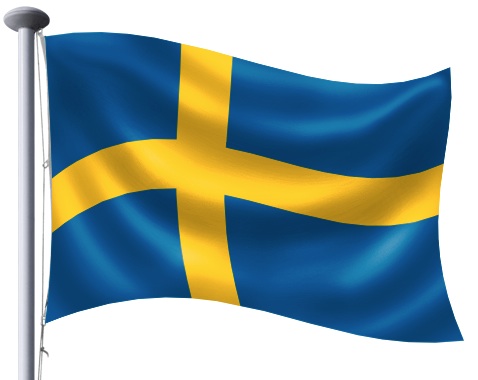 flag step 17 flag step 17