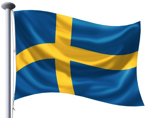 flag step 20 flag step 20