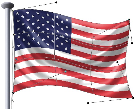 flag step 25 flag step 25