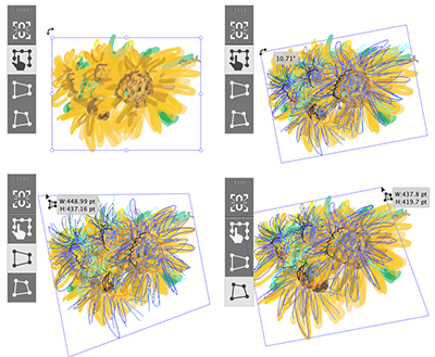 free transform touch tool