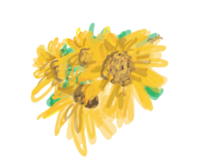 free transform touch tool