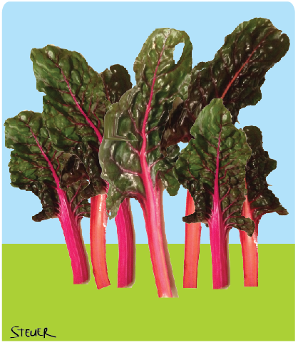 swiss chard brushes
